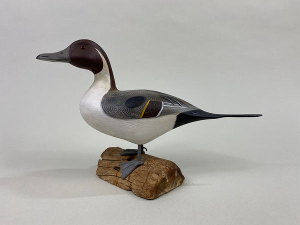 Ken Weeks Standing Pintail Drake, Half Size (#8631)