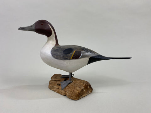 Ken Weeks Standing Pintail Drake, Half Size (#8631)