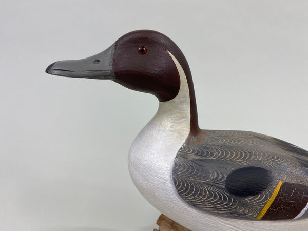 Ken Weeks Standing Pintail Drake, Half Size (#8631)