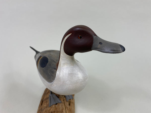 Ken Weeks Standing Pintail Drake, Half Size (#8631)