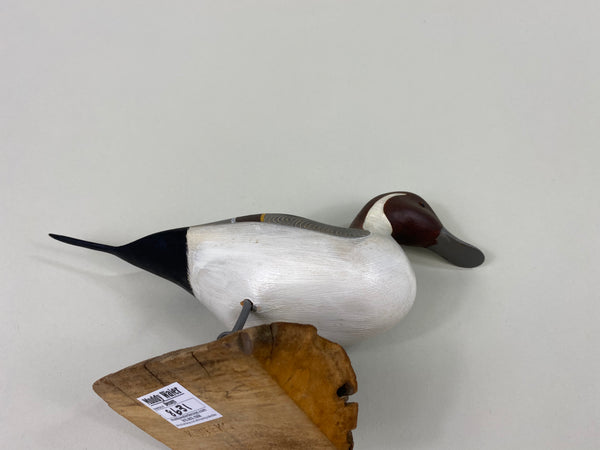 Ken Weeks Standing Pintail Drake, Half Size (#8631)