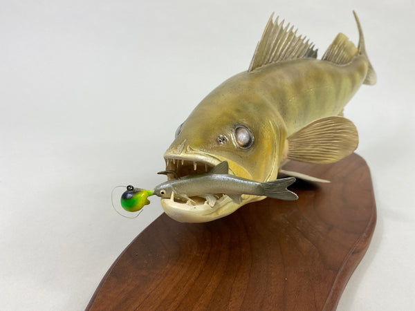 Hank Kimple Hand Carved Lifesize Walleye (#8636)