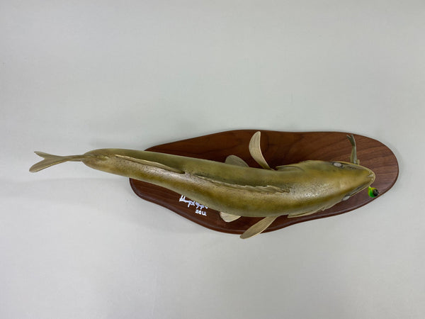 Hank Kimple Hand Carved Lifesize Walleye (#8636)