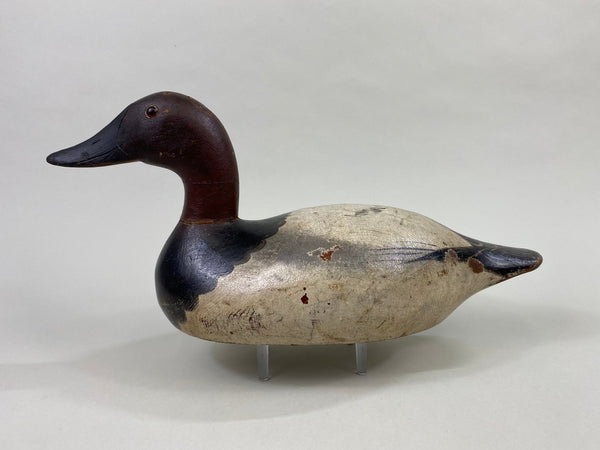 Senica Lake Mason Canvasback Drake, Original Paint (#8637)