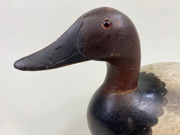 Senica Lake Mason Canvasback Drake, Original Paint (#8637)