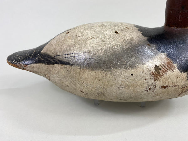 Senica Lake Mason Canvasback Drake, Original Paint (#8637)