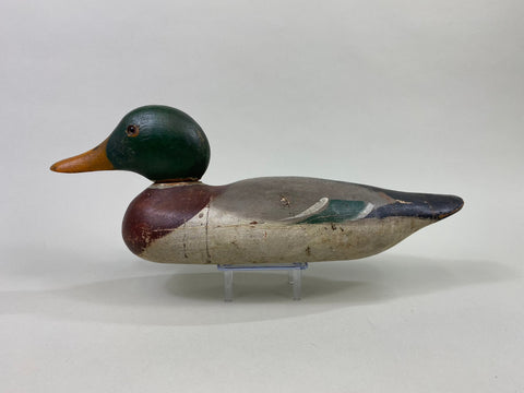 Mason Standard Grade Mallard Drake, Circa 1920's (#8645)