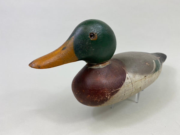 Mason Standard Grade Mallard Drake, Circa 1920's (#8645)