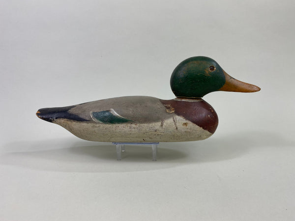 Mason Standard Grade Mallard Drake, Circa 1920's (#8645)