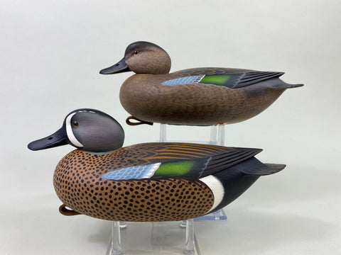 Frederick Brown Pair of Blue-Winged Teal (#8646)