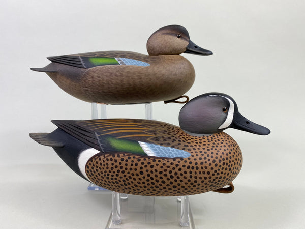 Frederick Brown Pair of Blue-Winged Teal (#8646)