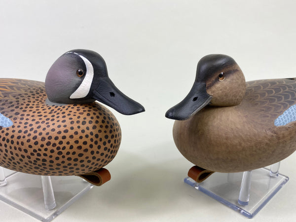 Frederick Brown Pair of Blue-Winged Teal (#8646)