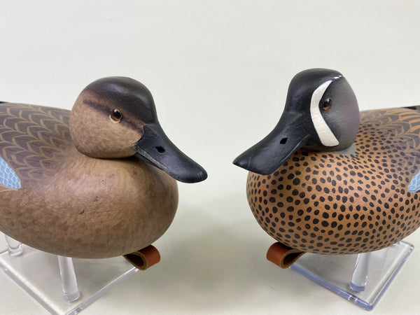 Frederick Brown Pair of Blue-Winged Teal (#8646)