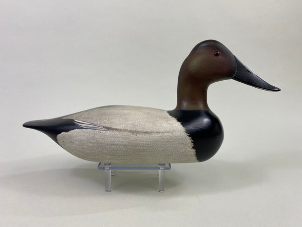 Virgil Lashbrook Canvasback Drake (#8649)