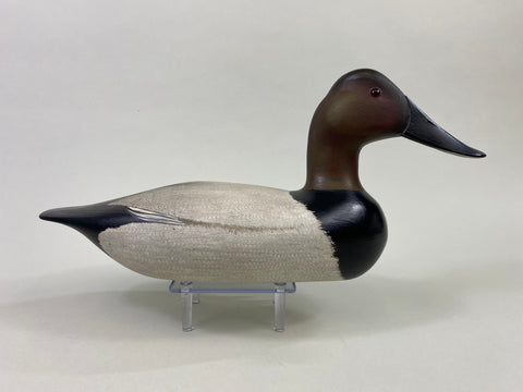 Virgil Lashbrook Canvasback Drake (#8649)