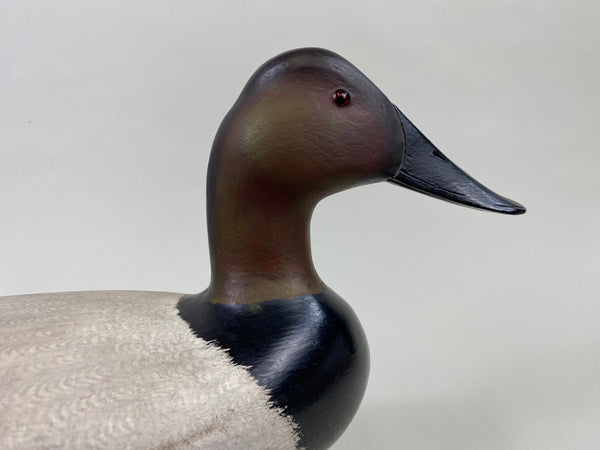 Virgil Lashbrook Canvasback Drake (#8649)