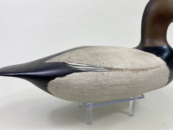 Virgil Lashbrook Canvasback Drake (#8649)