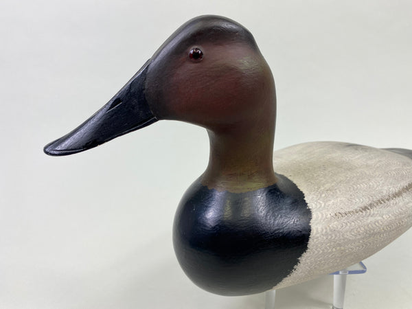 Virgil Lashbrook Canvasback Drake (#8649)