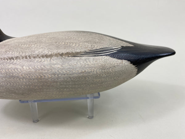 Virgil Lashbrook Canvasback Drake (#8649)