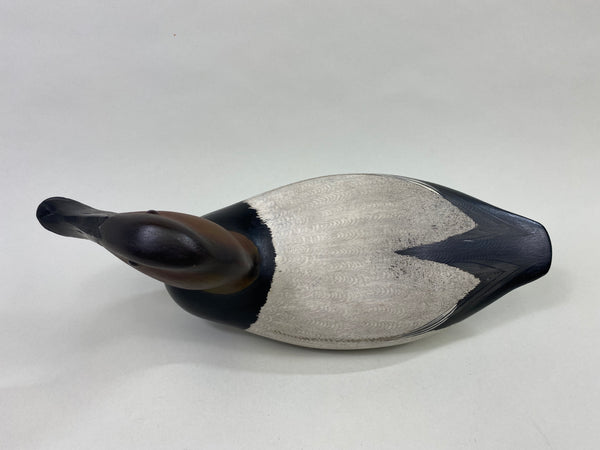 Virgil Lashbrook Canvasback Drake (#8649)
