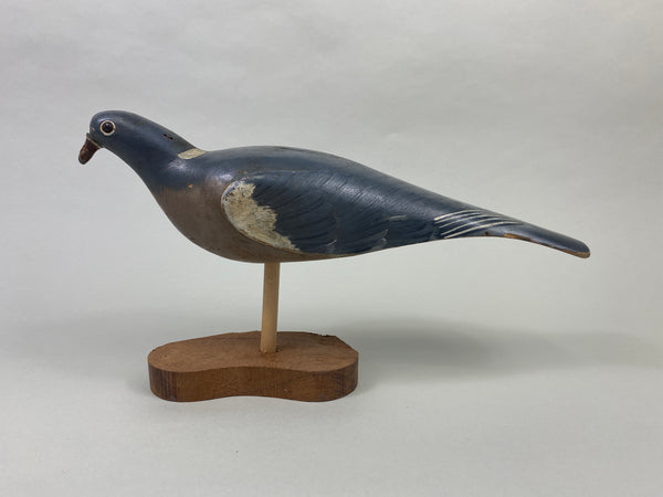 English Pigeon (#8673)
