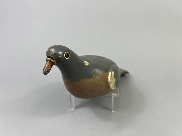 English Pigeon (#8673)