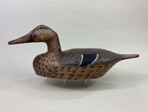 Gus Moak Canvasback Hen, Edna Perdew Paint (#8676)