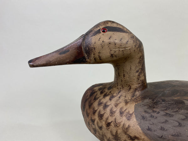 Gus Moak Canvasback Hen, Edna Perdew Paint (#8676)