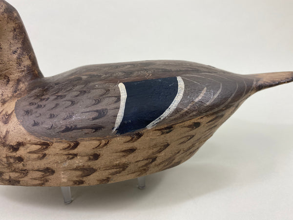 Gus Moak Canvasback Hen, Edna Perdew Paint (#8676)