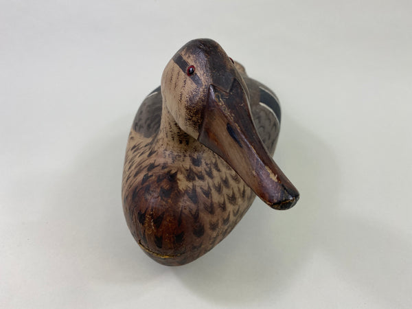 Gus Moak Canvasback Hen, Edna Perdew Paint (#8676)