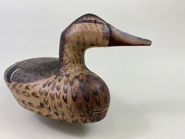 Gus Moak Canvasback Hen, Edna Perdew Paint (#8676)