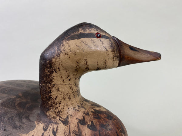 Gus Moak Canvasback Hen, Edna Perdew Paint (#8676)