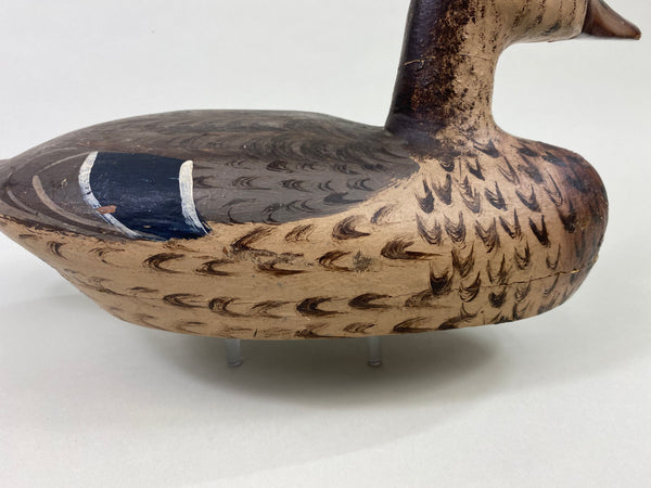 Gus Moak Canvasback Hen, Edna Perdew Paint (#8676)