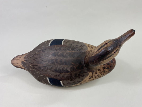 Gus Moak Canvasback Hen, Edna Perdew Paint (#8676)