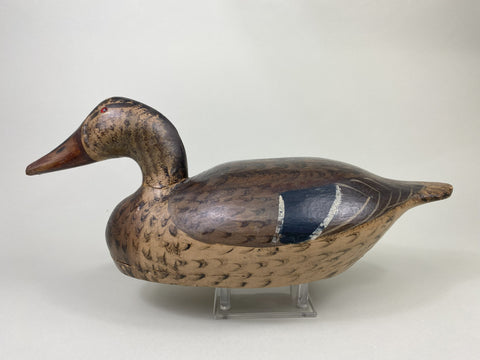 Gus Moak Canvasback painted as a Mallard Hen by Edna Perdew (#8677)