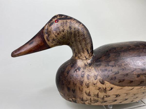 Gus Moak Canvasback painted as a Mallard Hen by Edna Perdew (#8677)