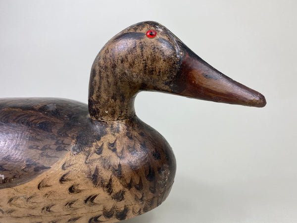 Gus Moak Canvasback painted as a Mallard Hen by Edna Perdew (#8677)