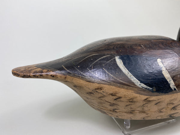 Gus Moak Canvasback painted as a Mallard Hen by Edna Perdew (#8677)