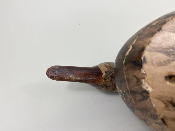 Gus Moak Canvasback painted as a Mallard Hen by Edna Perdew (#8677)