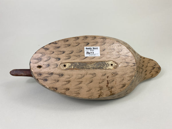 Gus Moak Canvasback painted as a Mallard Hen by Edna Perdew (#8677)