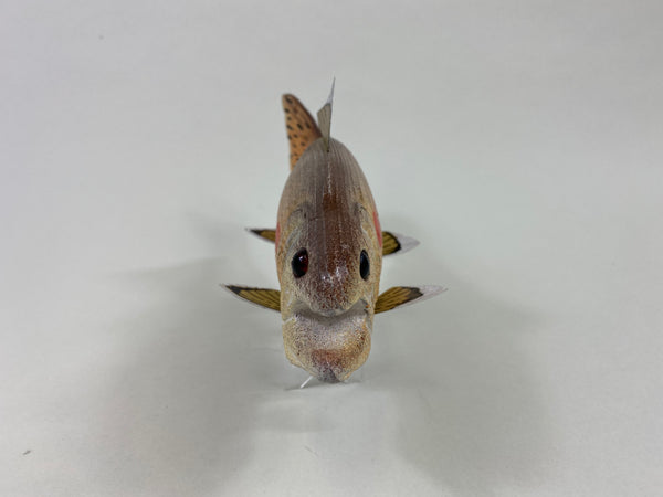 Dave Kober Salmon Fish Spearing Decoy (#8678O)