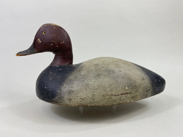 Michigan St. Clair Flats Bobtail Redhead Drake (#8681)