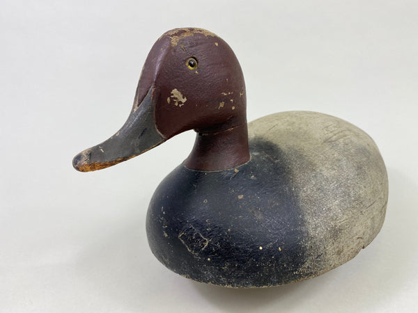 Michigan St. Clair Flats Bobtail Redhead Drake (#8681)