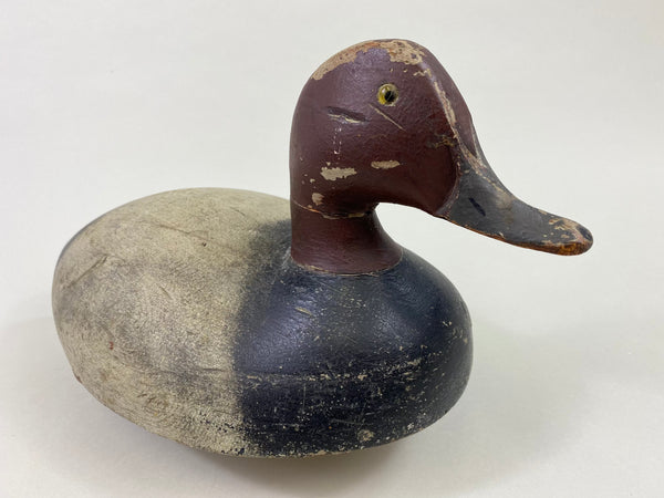 Michigan St. Clair Flats Bobtail Redhead Drake (#8681)