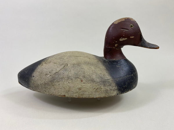 Michigan St. Clair Flats Bobtail Redhead Drake (#8681)