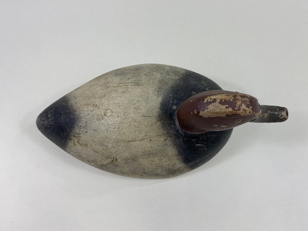 Michigan St. Clair Flats Bobtail Redhead Drake (#8681)