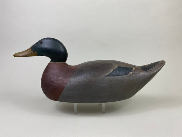 Mason Premier Mallard Drake, Branded (#8684)