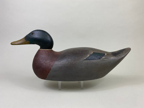 Mason Premier Mallard Drake, Branded (#8684)