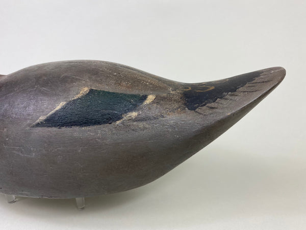 Mason Premier Mallard Drake, Branded (#8684)