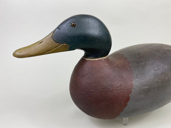 Mason Premier Mallard Drake, Branded (#8684)